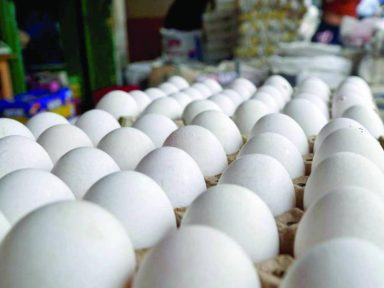Trancazo en precio del huevo en mercados y ferias de Honduras durante la temporada navideña