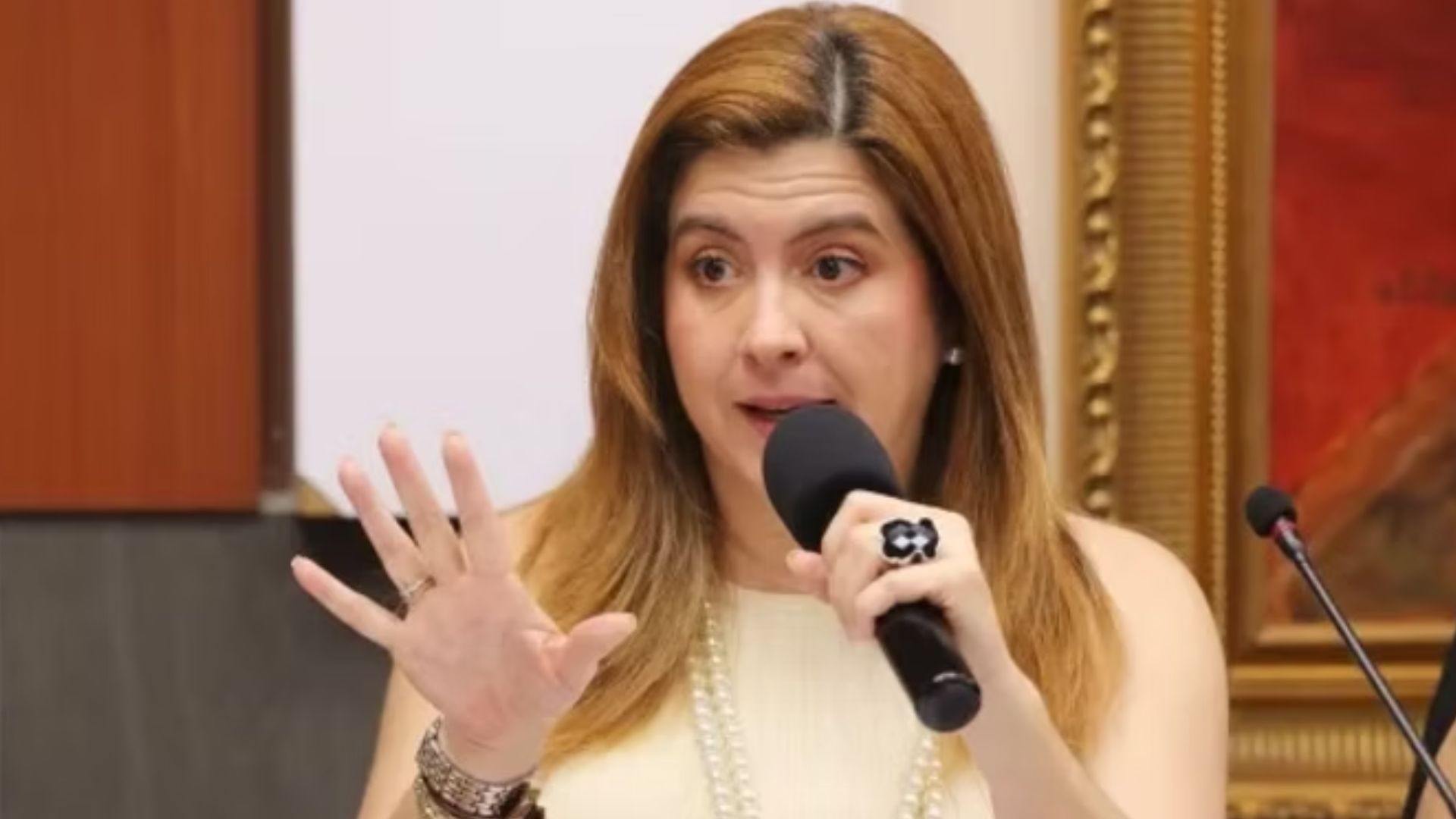 Así es el plan del CNE para continuar con la divulgación de resultados, según Cossette López