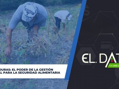 Imagen de Subcategoria de Negocios y Finanzas