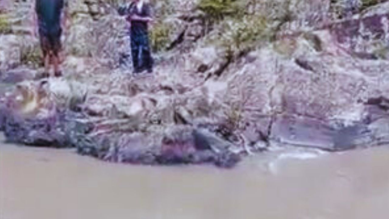 'Morite…': a pedradas atacan a un hombre por raptar a menor en Amarateca