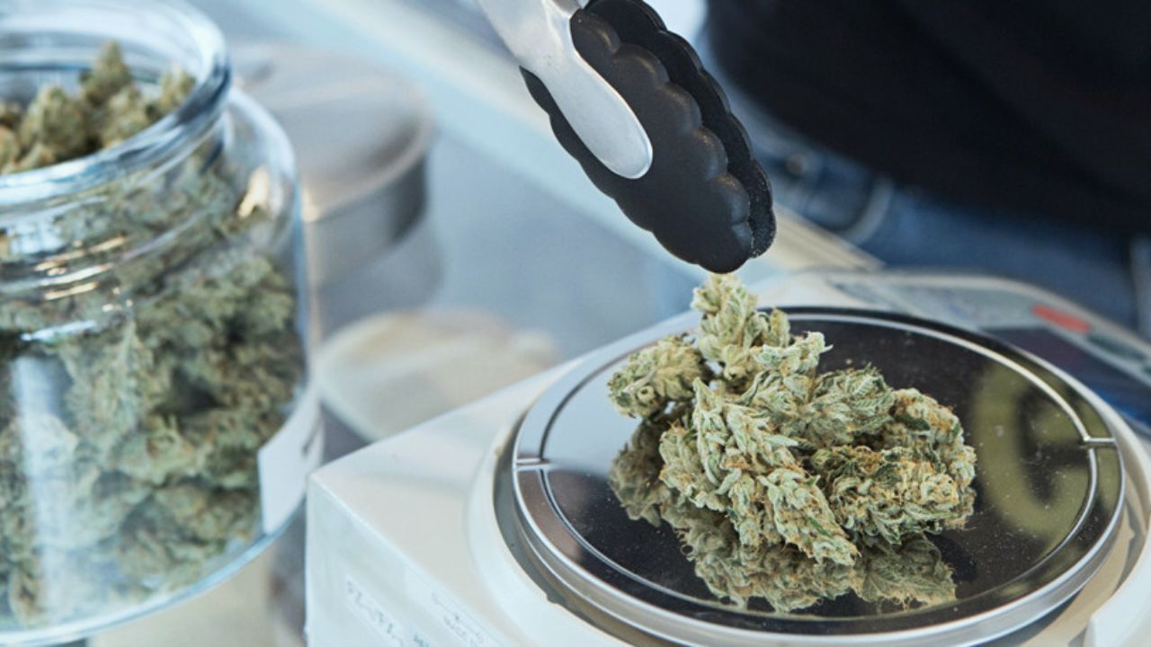 Uruguay evalúa extender la venta de marihuana legal a los turistas