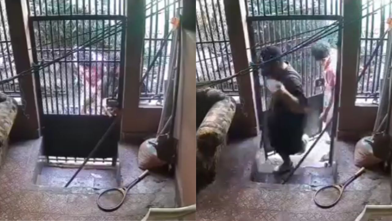 Vídeo: Exponen a dos sujetos robando una casa en Comayagüela