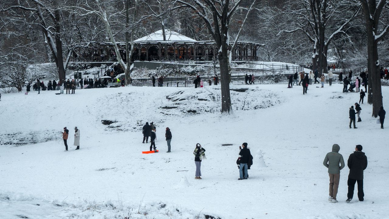 Miles de vuelos cancelados en todo EE. UU. por las tormentas invernales