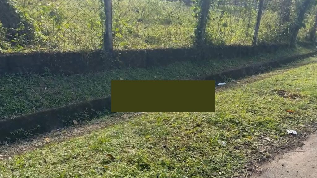 Imagen de cuerpo de nota