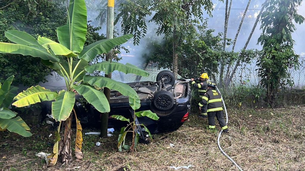 Imagen de cuerpo de nota