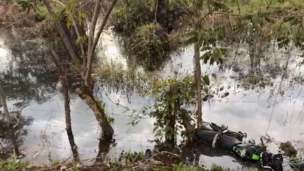 Imagen de cuerpo de nota