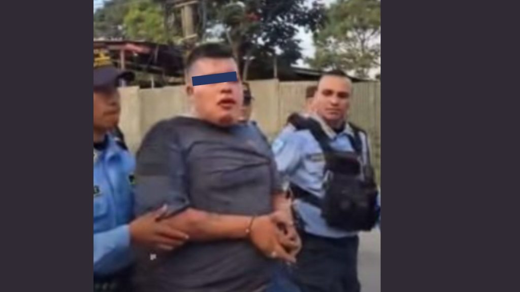 Imagen de cuerpo de nota