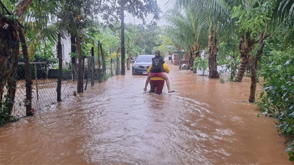 Imagen de cuerpo de nota