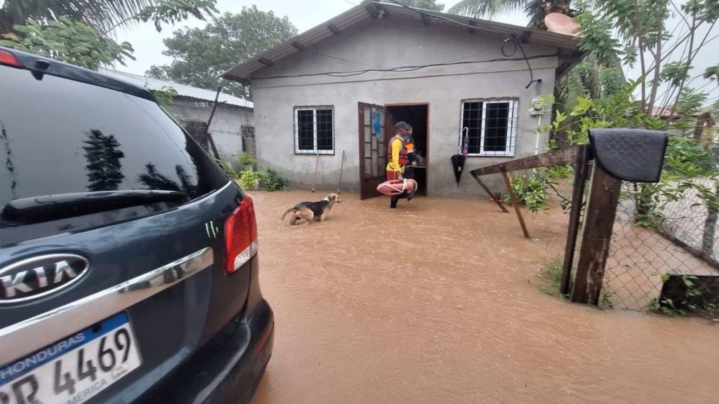 Imagen de cuerpo de nota