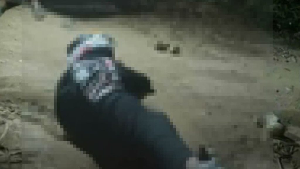 Imagen de cuerpo de nota