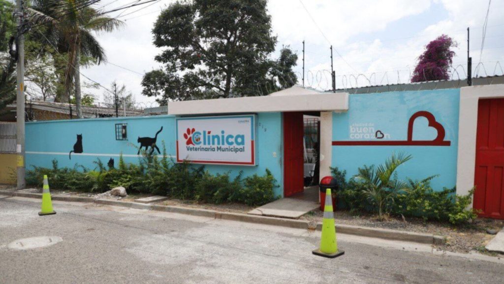 Imagen de cuerpo de nota