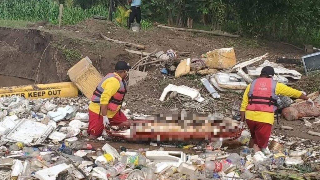 Imagen de cuerpo de nota