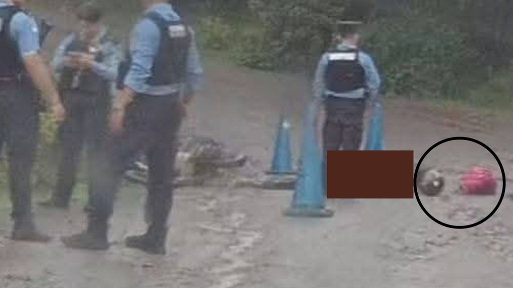 Imagen de cuerpo de nota