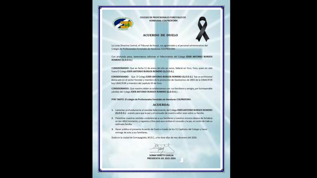 Imagen de cuerpo de nota