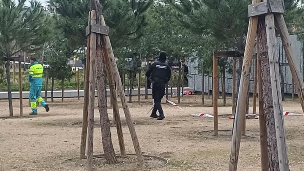 Imagen de cuerpo de nota