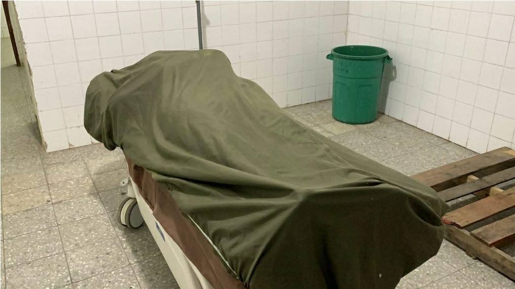 Imagen de cuerpo de nota