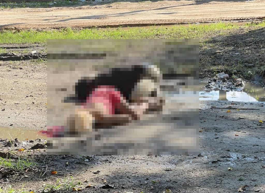 Imagen de cuerpo de nota