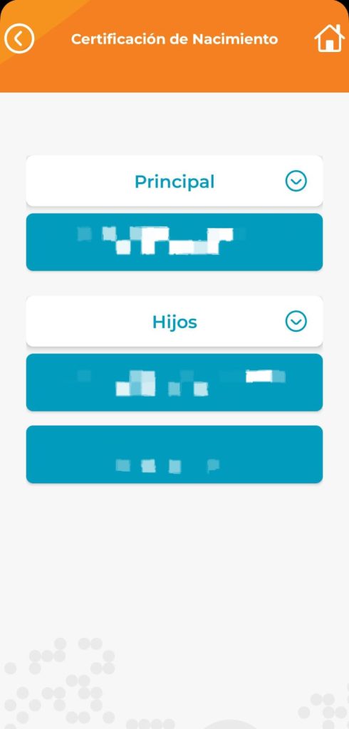 Captura de pantalla en el proceso para la partida de nacimiento en línea