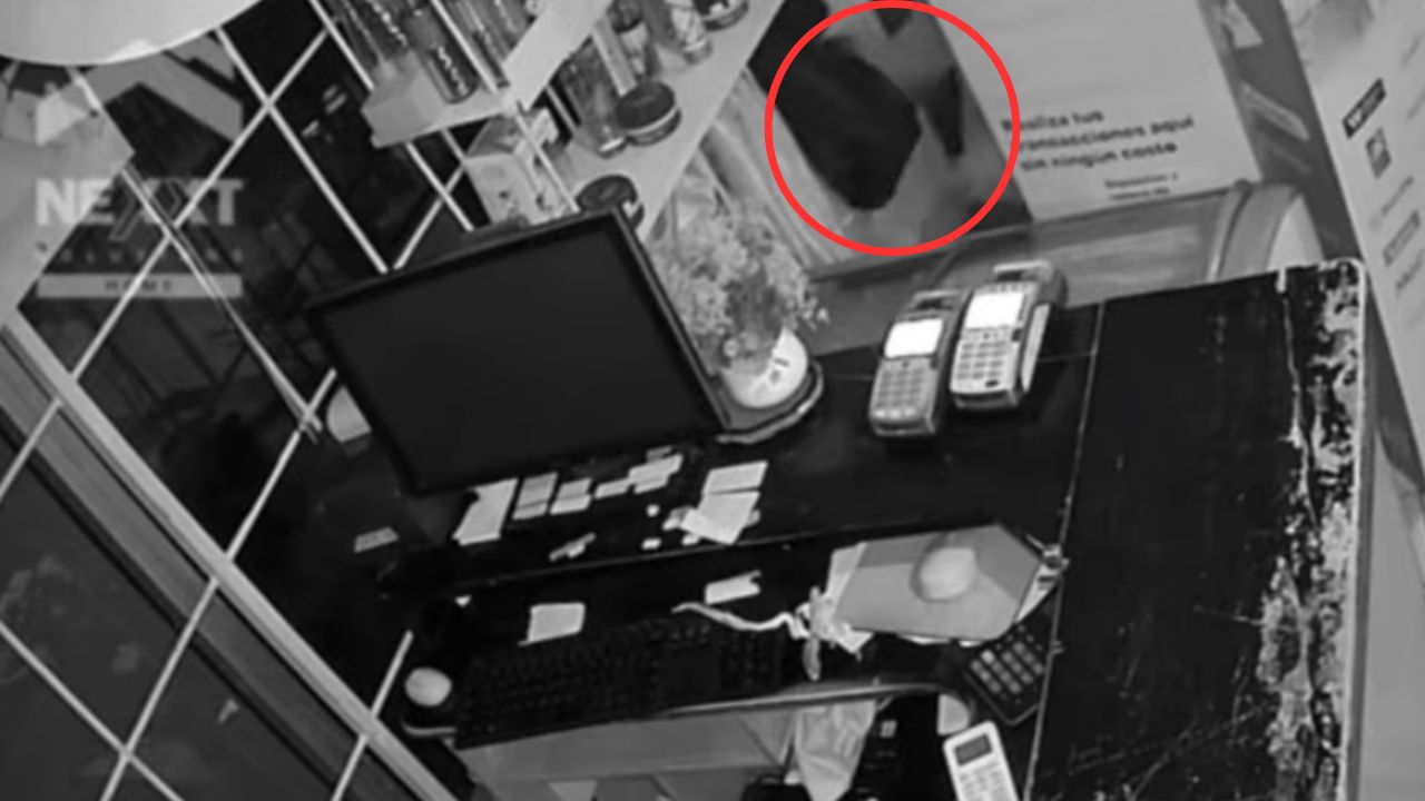 Así fue la captura a 'El Picarín', sospechoso de robos a comercios grabados en vídeo, en SPS