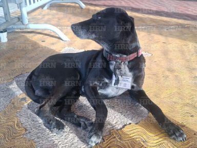 Imagen de Subcategoria de Negocios y Finanzas