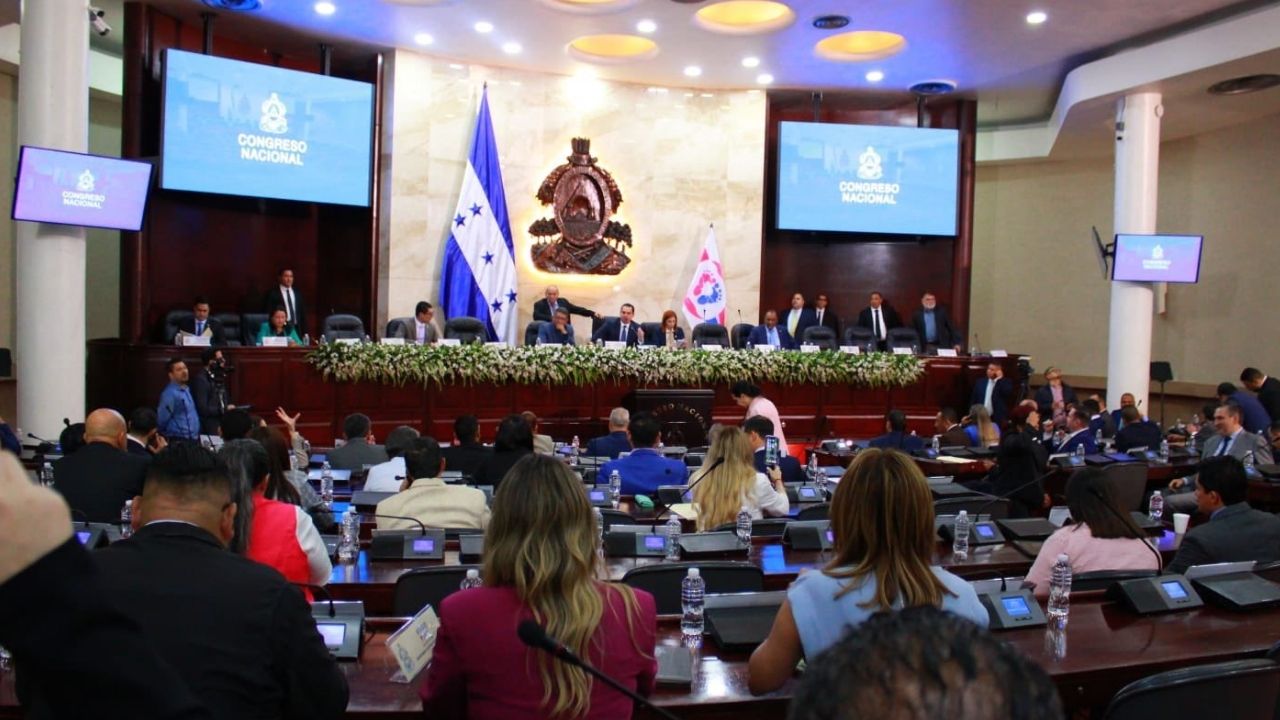 Faltaron a la sesión: estos diputados perderán el salario correspondiente a hoy