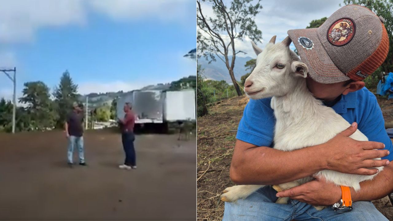 VIDEO: Graban momento en que hombre mata a otro por pelear un parqueo