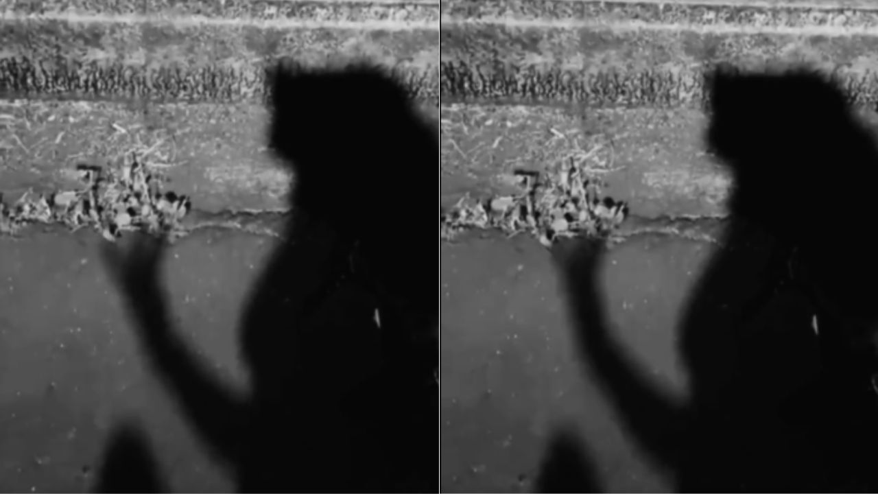 'Me siento mal': Mujer le corta los genitales a hombre que intentó abusarla