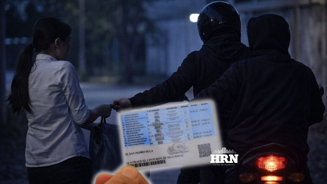 ¿Cómo recuperar la licencia de conducir en caso de robo o extravío?