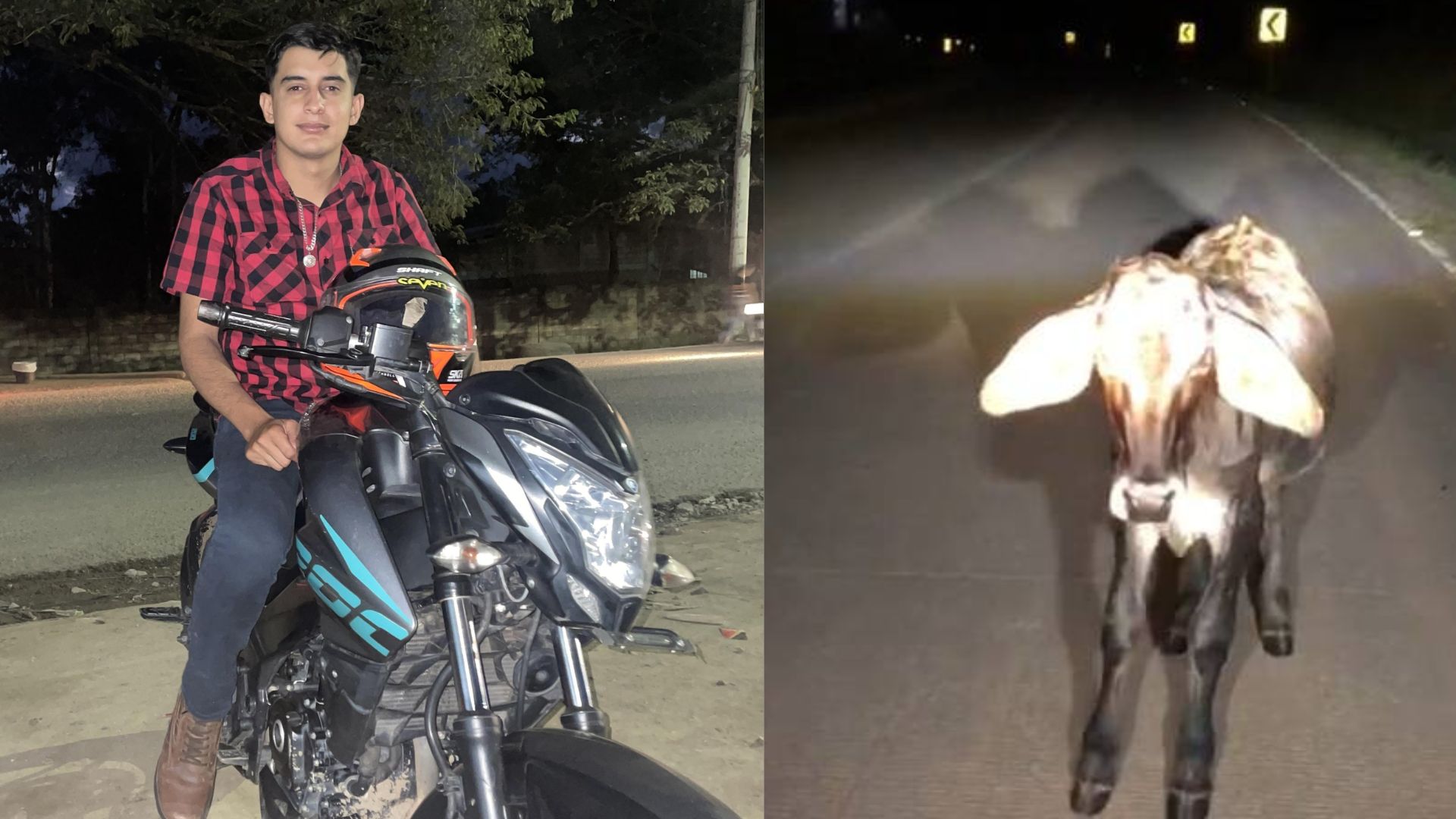 Universitario muere en accidente en Danlí: impactó contra un semoviente