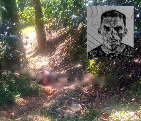 Imagen de cuerpo de nota