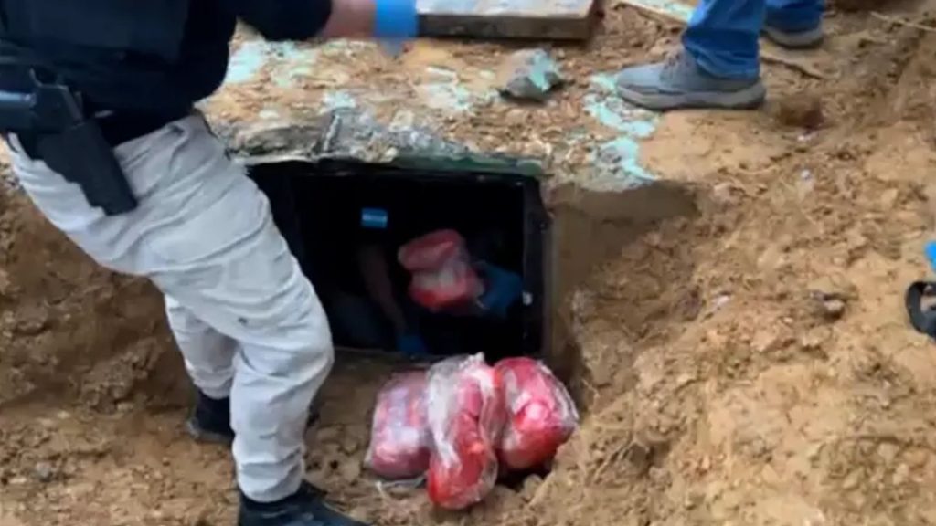 Imagen de cuerpo de nota