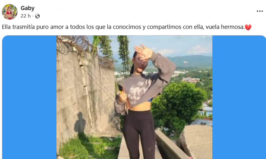 Captura de pantalla de la publicación