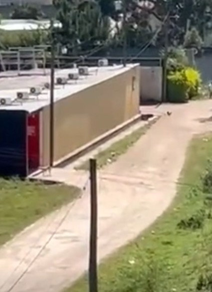 Capturas de pantalla del video