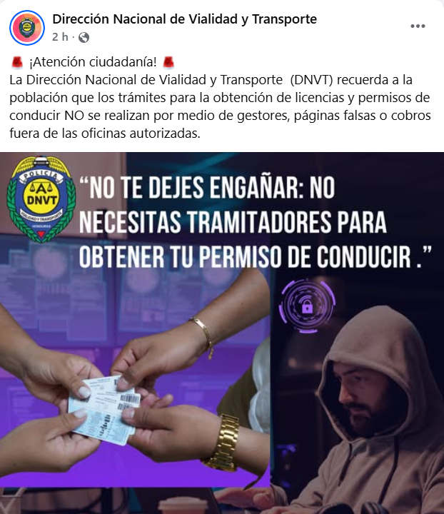 Captura de pantalla de la publicación