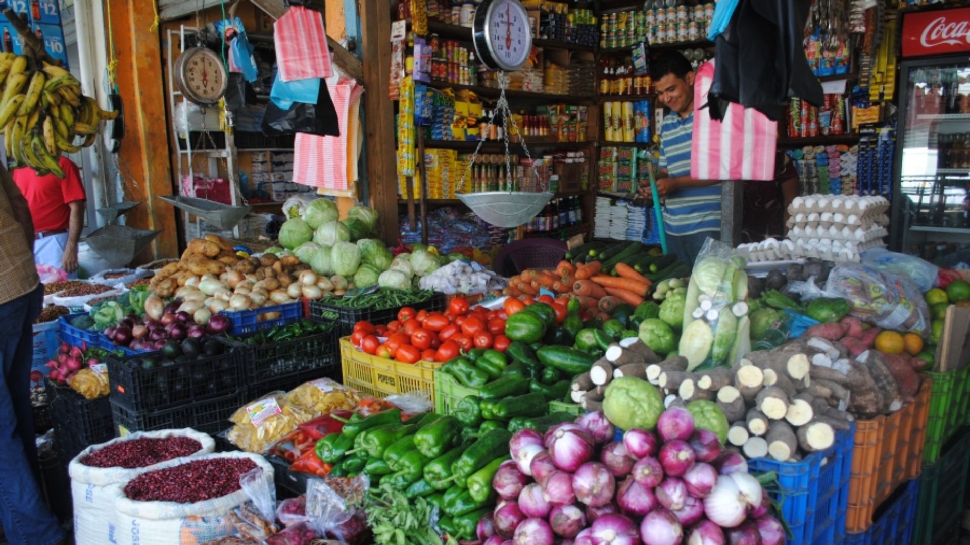 Imagen de ¿Qué productos de la canasta básica están subiendo de precio en Tegucigalpa?