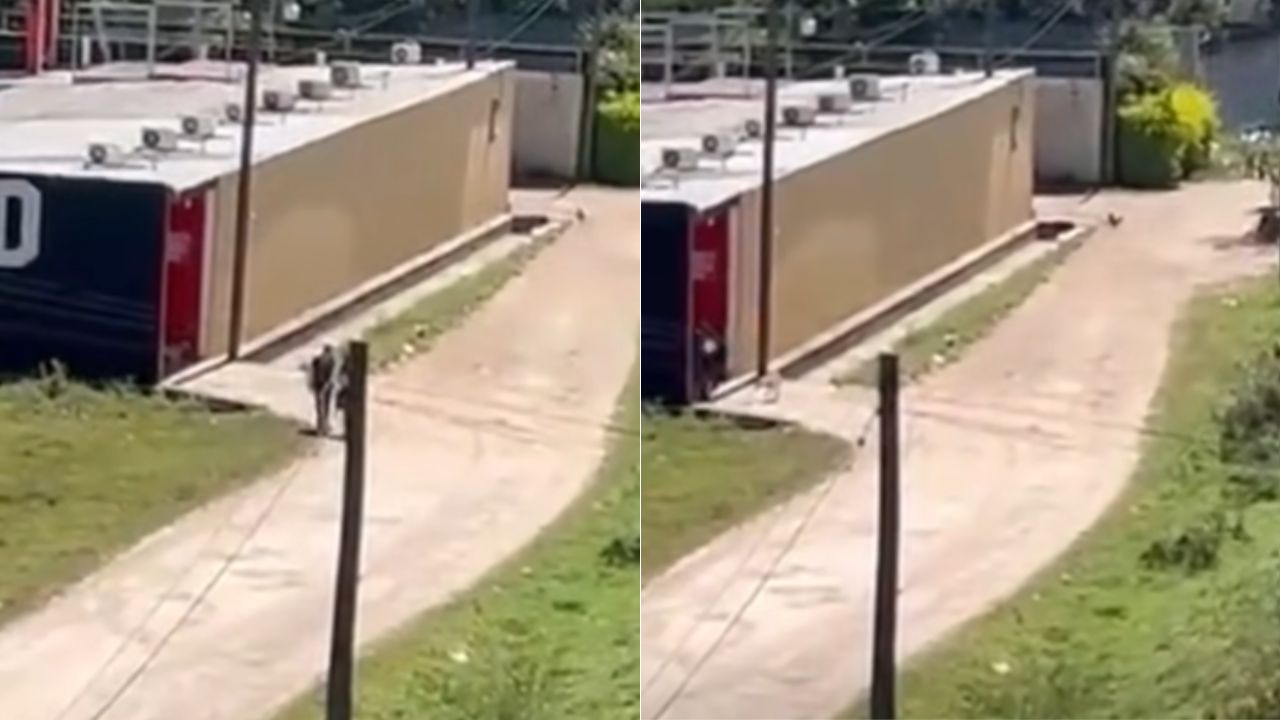 Video muestra a colegiales entrando a motel en Siguatepeque: esto dijo director