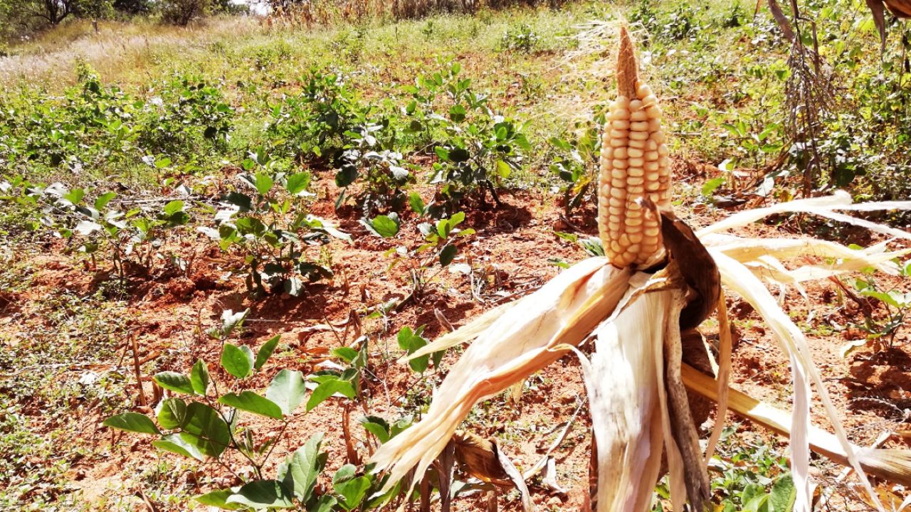 Imagen de Copeco advierte sobre condiciones climáticas tras fenómeno de La Niña