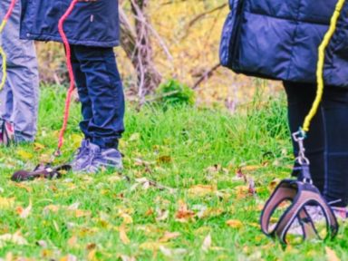 Imagen de Subcategoria de Negocios y Finanzas