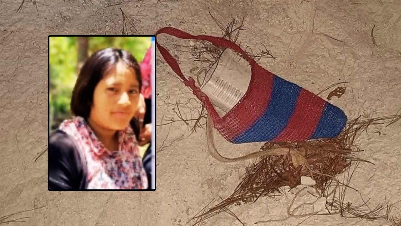 Imagen de '¿Por qué mi sobrina?': Consternación por crimen contra Lesly Leticia Hernández