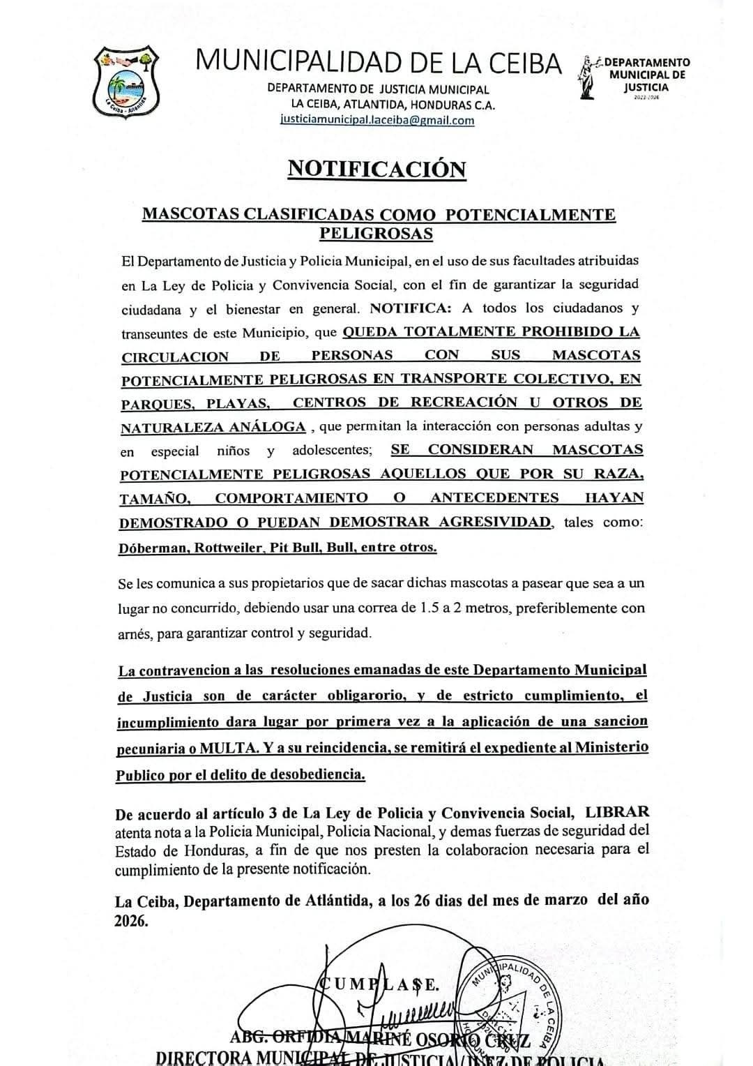 Comunicado de la Municipalidad de La Ceiba acerca de los perros pitbull y otras razas peligrosas.