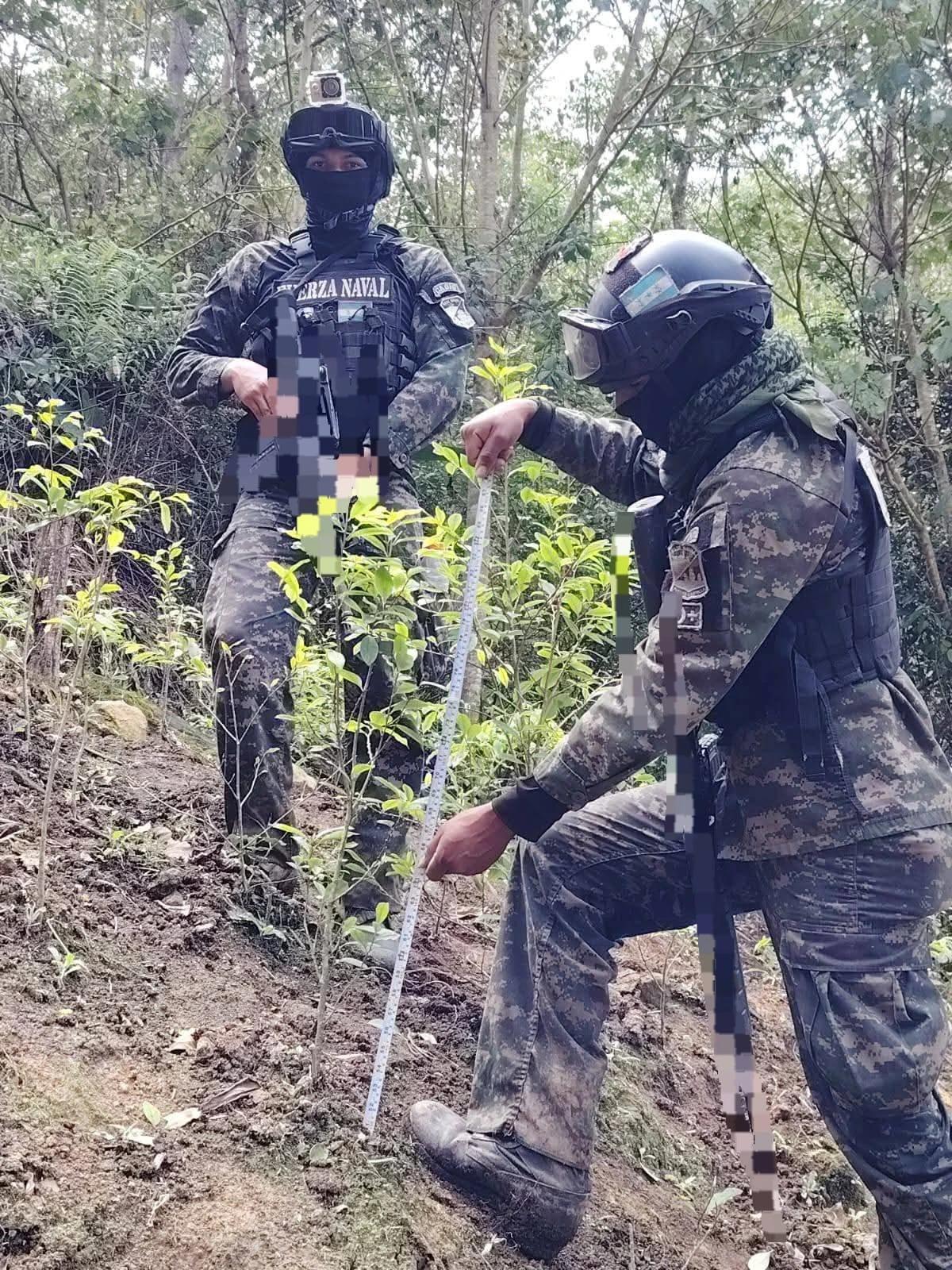 Imagen de cuerpo de nota