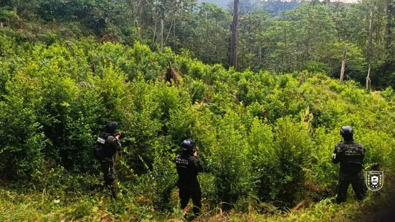 Imagen de cuerpo de nota