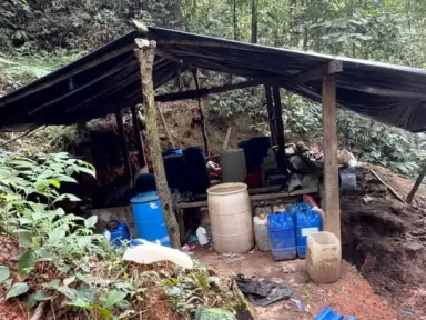 Imagen de Hallan plantación de coca y laboratorio en parque nacional en Colón