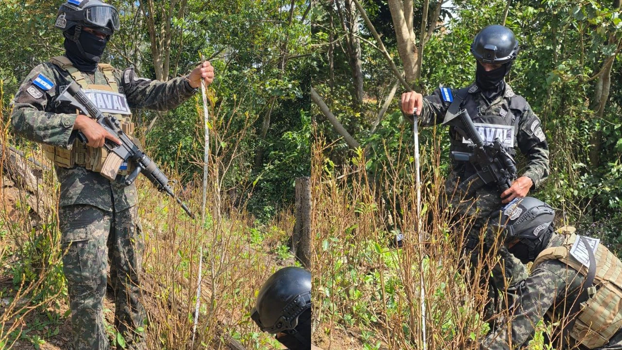 Imagen de cuerpo de nota