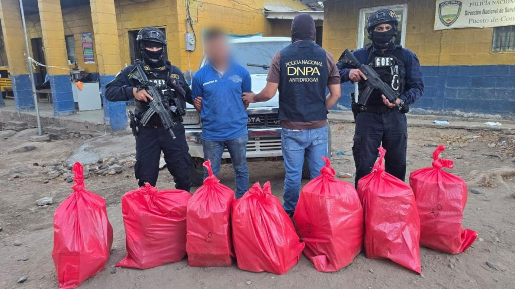 Imagen de cuerpo de nota