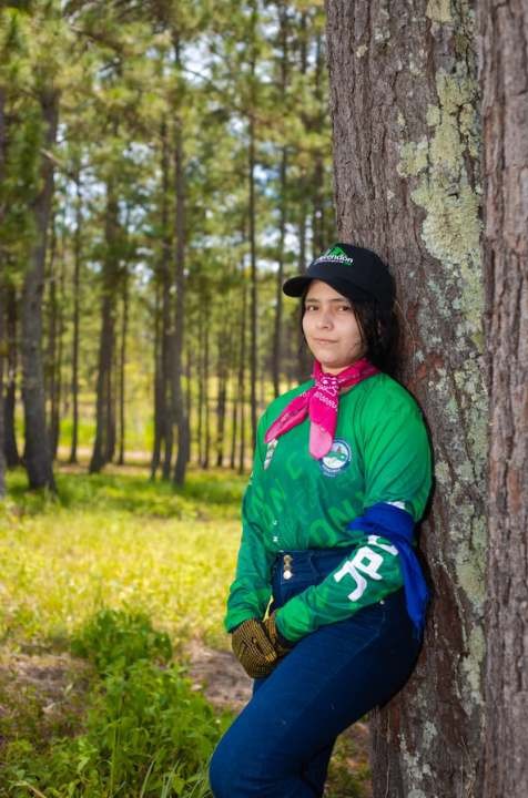 Imagen de cuerpo de nota