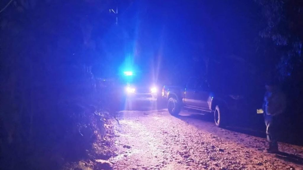 Imagen de cuerpo de nota