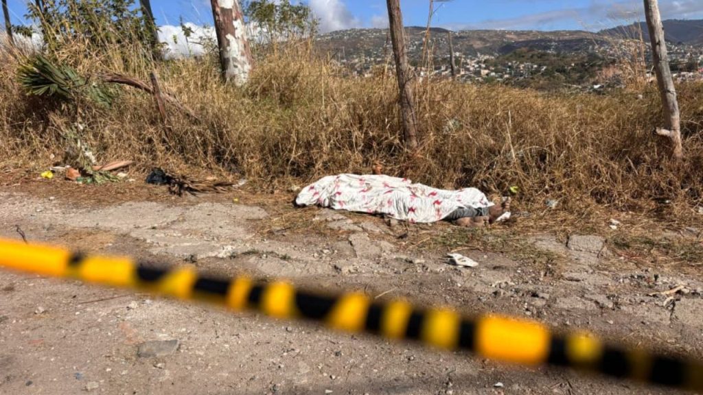 Imagen de cuerpo de nota