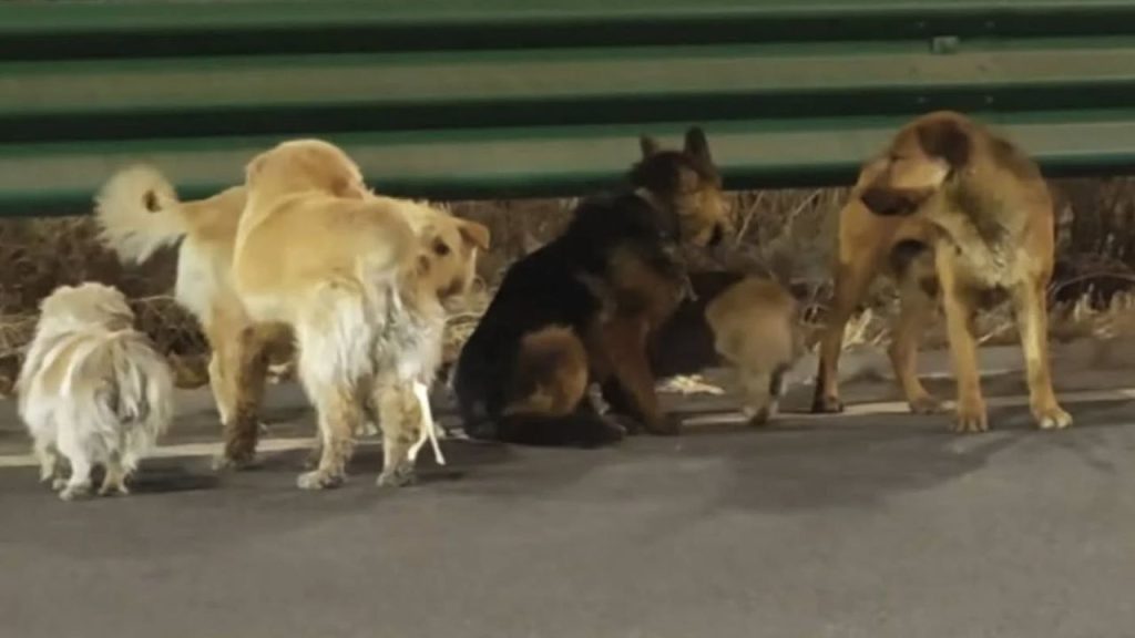 Imagen de cuerpo de nota