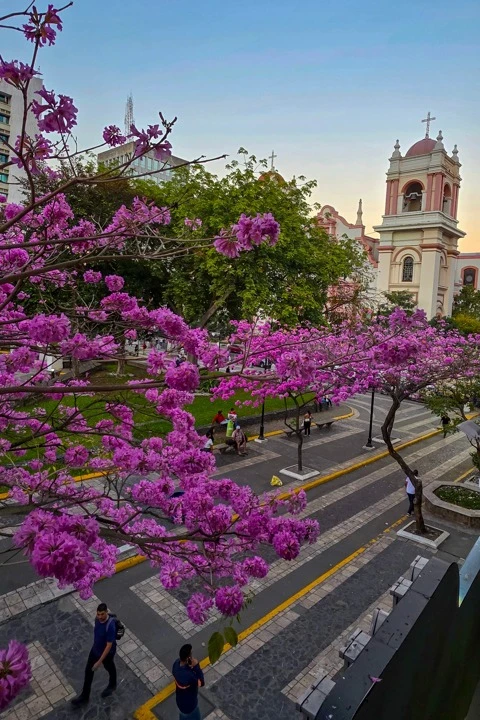 Imagen de cuerpo de nota